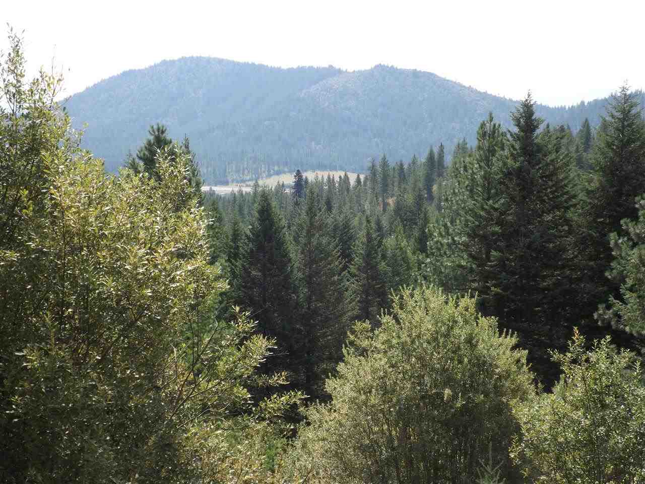 1512 Diamond Creek Road Newport, WA 99156 - Photo 9 of 20