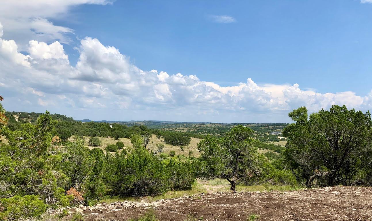 2 Sanctuary Lane Blanco, TX 78606 - Photo 7 of 12 a view of a yard with an trees