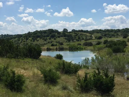 a view of a lake from a yard