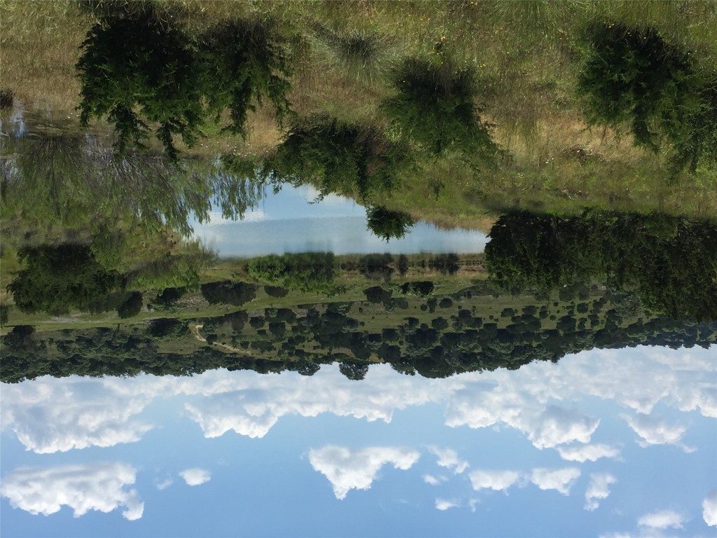 2 Sanctuary Lane Blanco, TX 78606 - Photo 10 of 12 a view of a lake from a yard