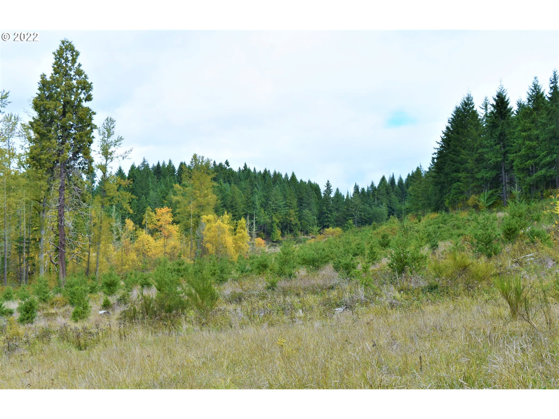 Garoutte Road East, Unit TL600 Cottage Grove, OR 97424 - Photo 5 of 32 Gallery Image 5