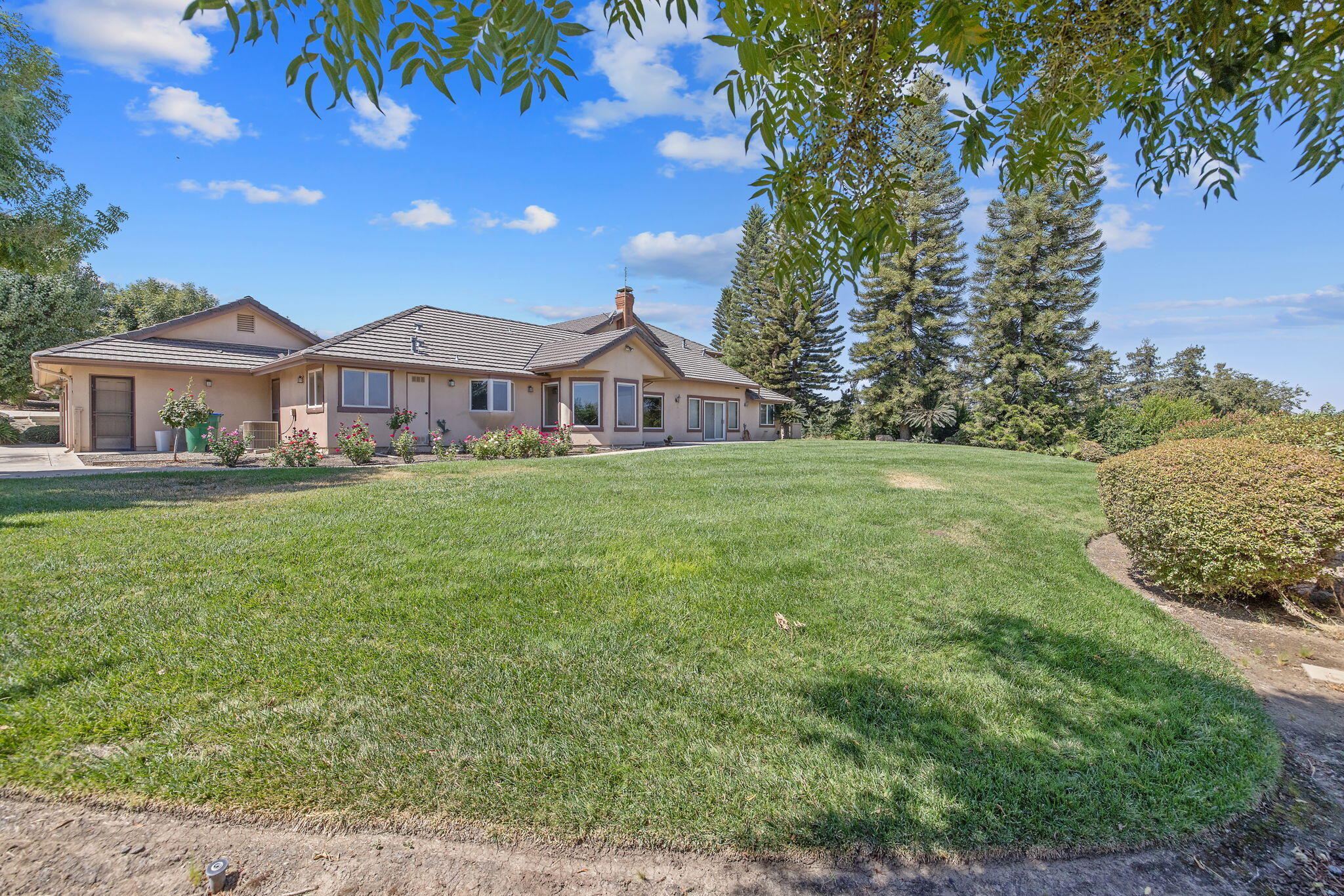 315 Valley View Drive Exeter, CA 93221 - Photo 80 of 98 75-web-or-mls-713A5353