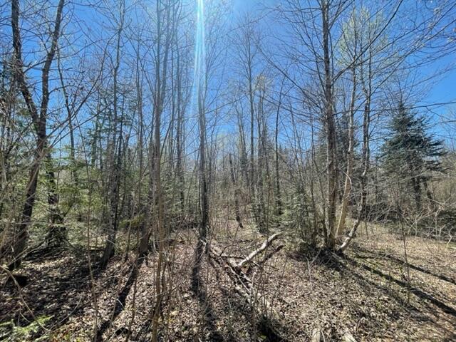 0 Hodgdon Mills Road Linneus, ME 04730 - Photo 10 of 12 IMG_9549