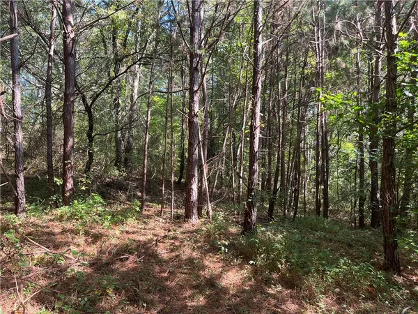 a view of outdoor space and trees