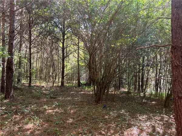 a view of outdoor space with trees