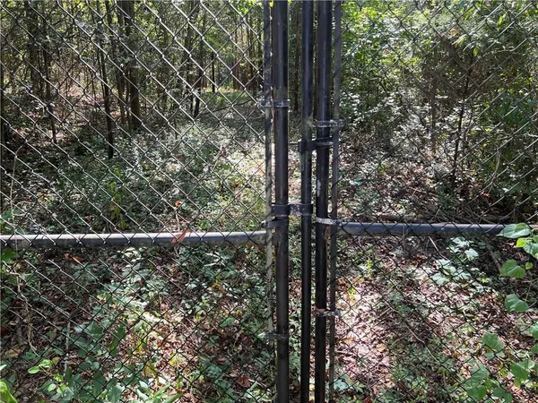 a view of a forest from a window