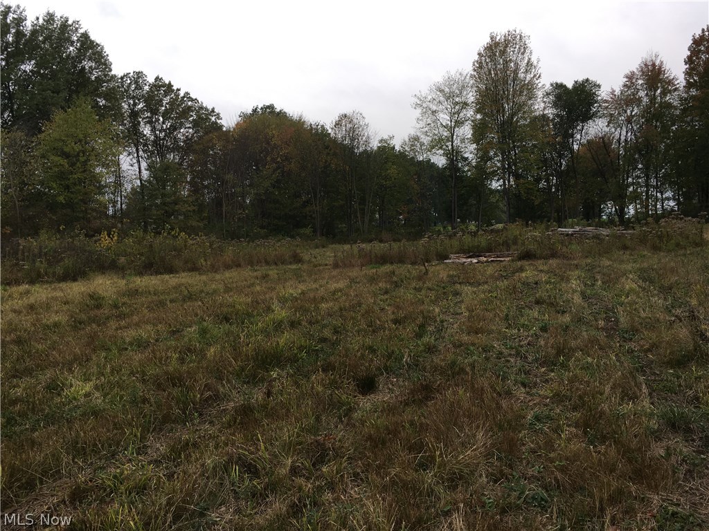 Pickle Rd Green Green, OH 44720 - Photo 2 of 15