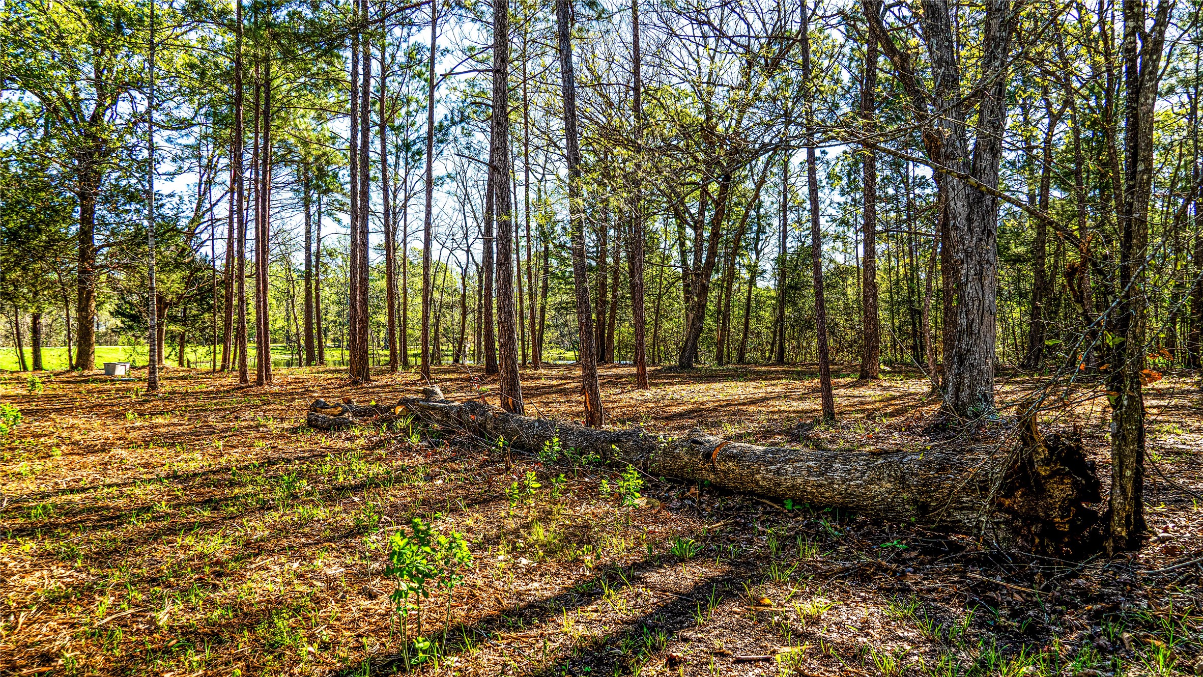 0 Barrett Cleveland, TX 77327 - Photo 12 of 13 a view of outdoor space with trees