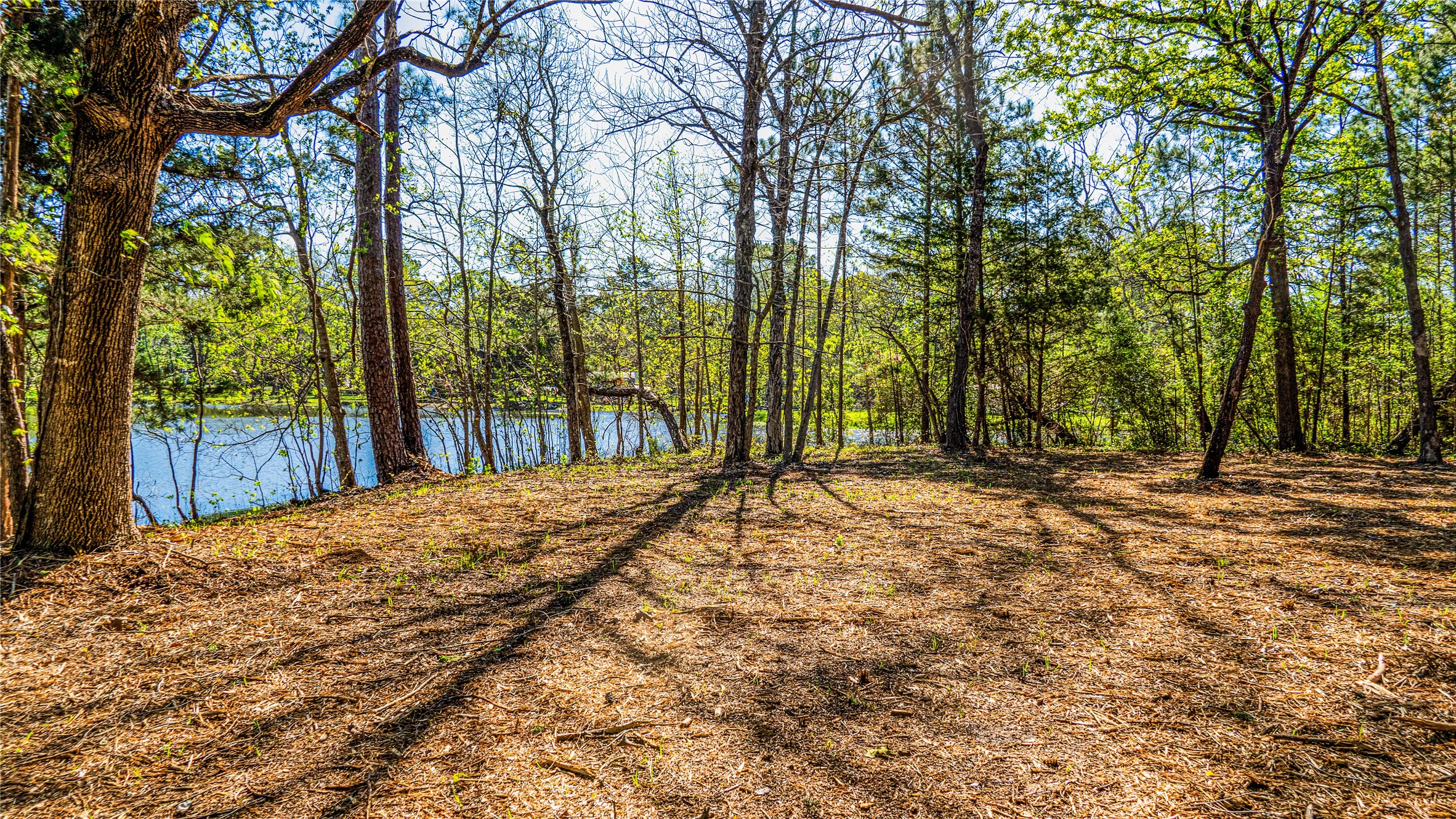 0 Barrett Cleveland, TX 77327 - Photo 13 of 13 a view of backyard with trees