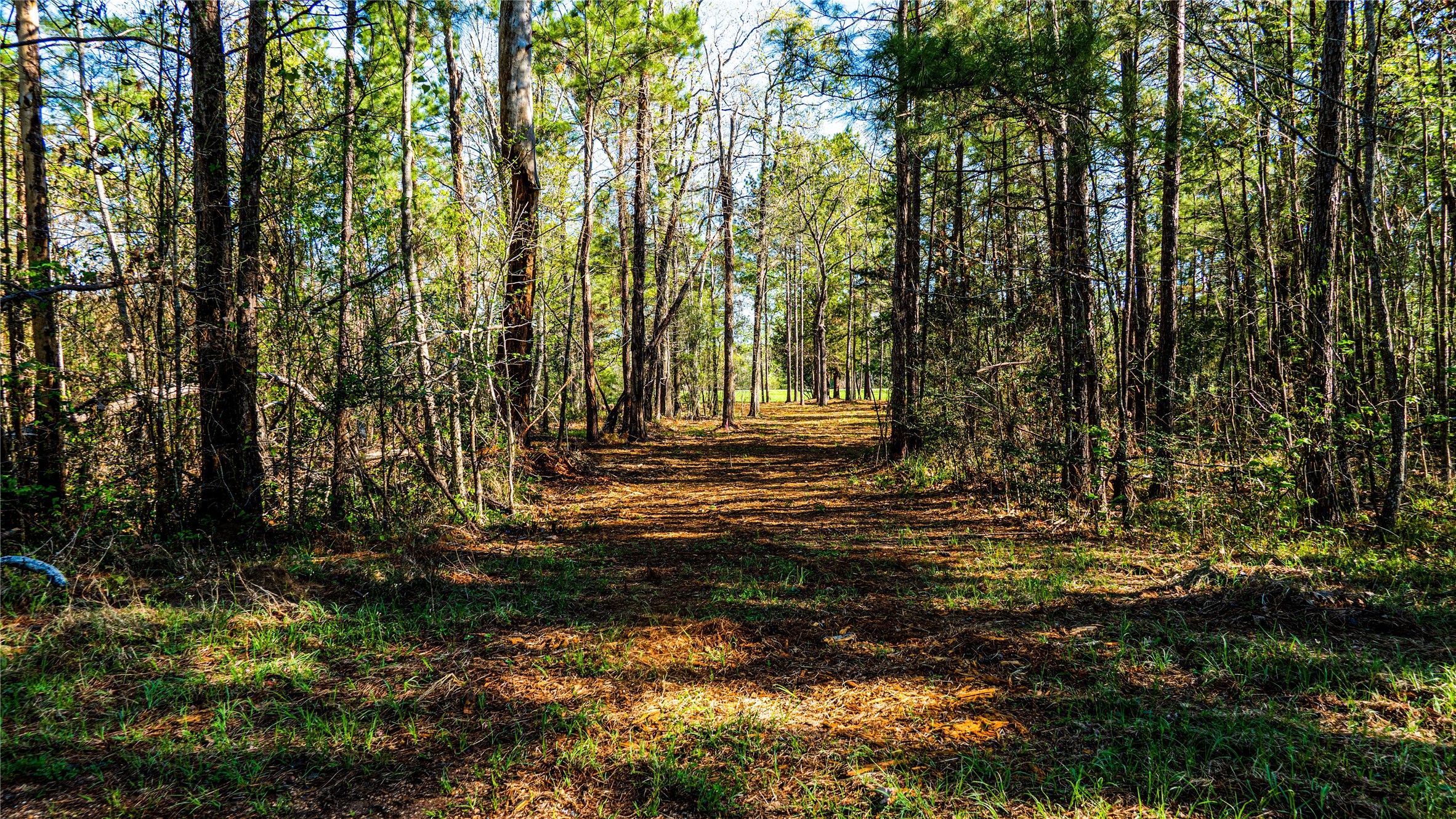 0 Barrett Cleveland, TX 77327 - Photo 4 of 13 a view of outdoor space and yard