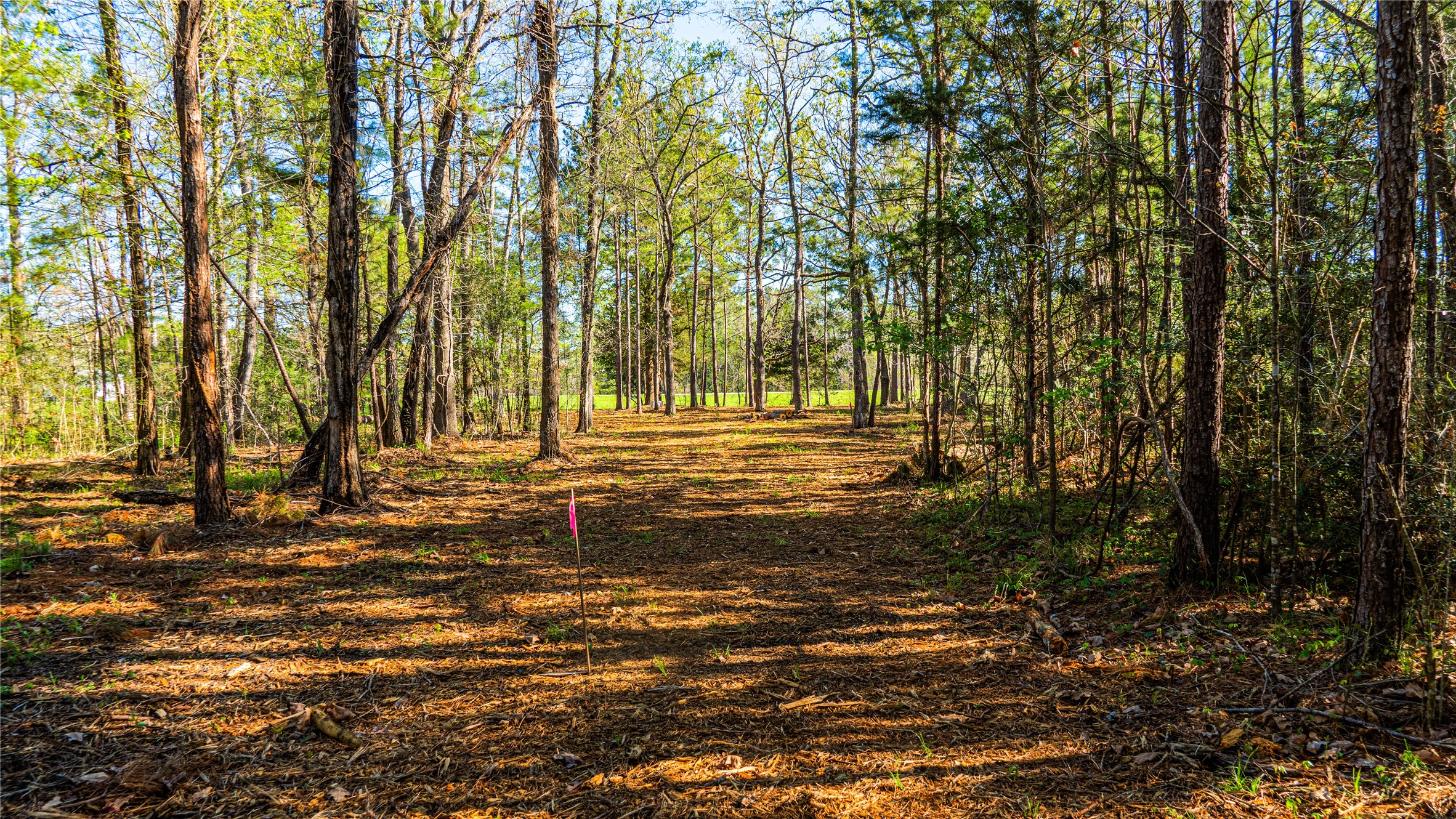 0 Barrett Cleveland, TX 77327 - Photo 5 of 13 a view of backyard with green space