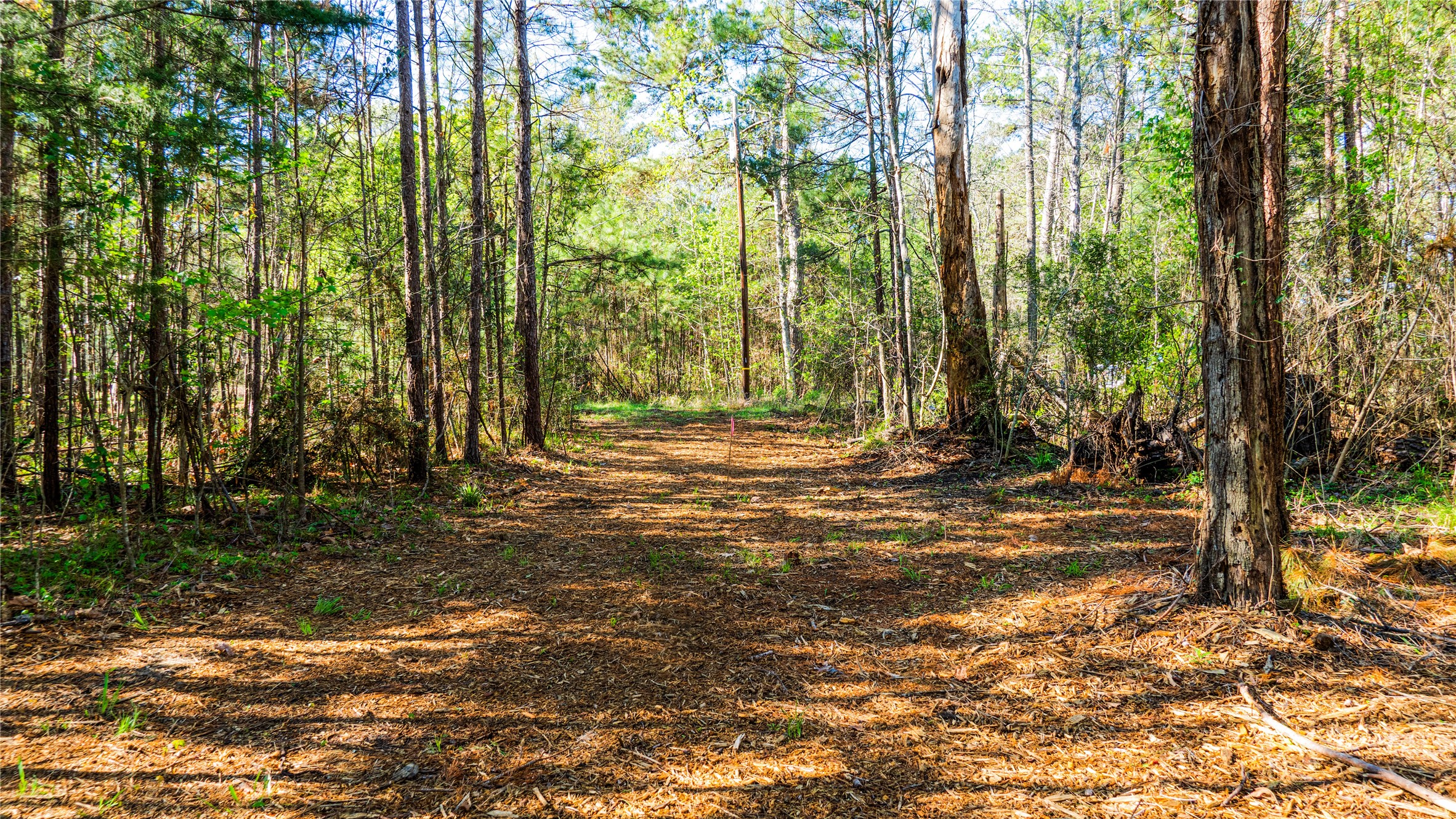0 Barrett Cleveland, TX 77327 - Photo 6 of 13 a view of a yard with trees