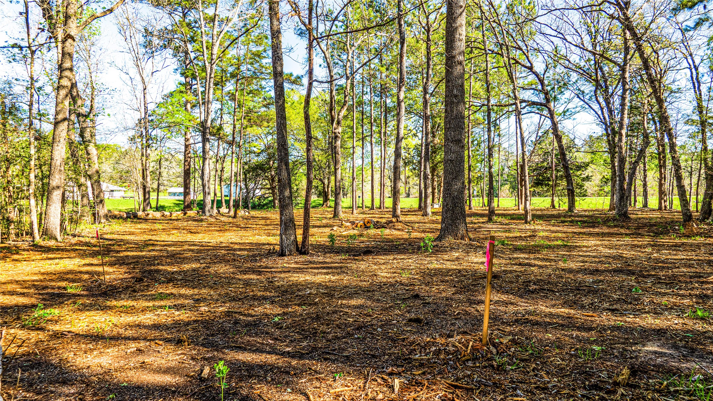 0 Barrett Cleveland, TX 77327 - Photo 7 of 13 a view of yard with tree