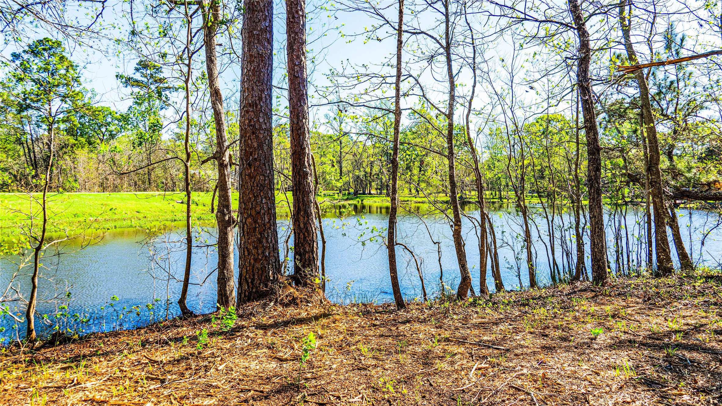 0 Barrett Cleveland, TX 77327 - Photo 8 of 13 a view of wooden fence under a large tree