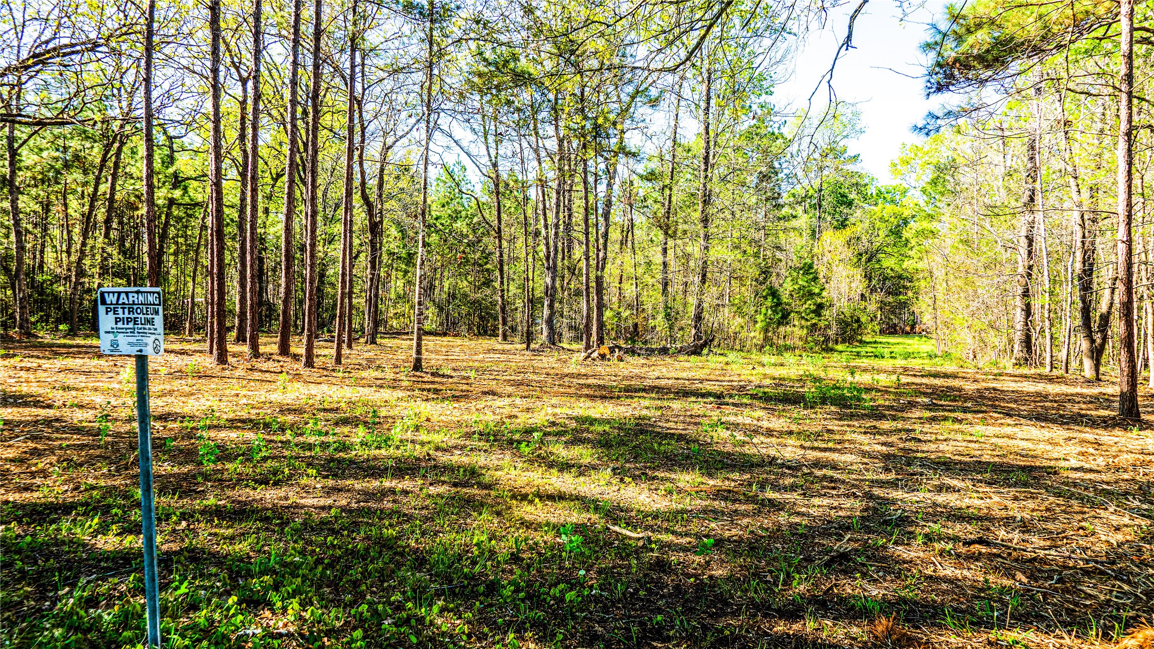 0 Barrett Cleveland, TX 77327 - Photo 10 of 13 a view of swimming pool with lawn chairs and wooden fence