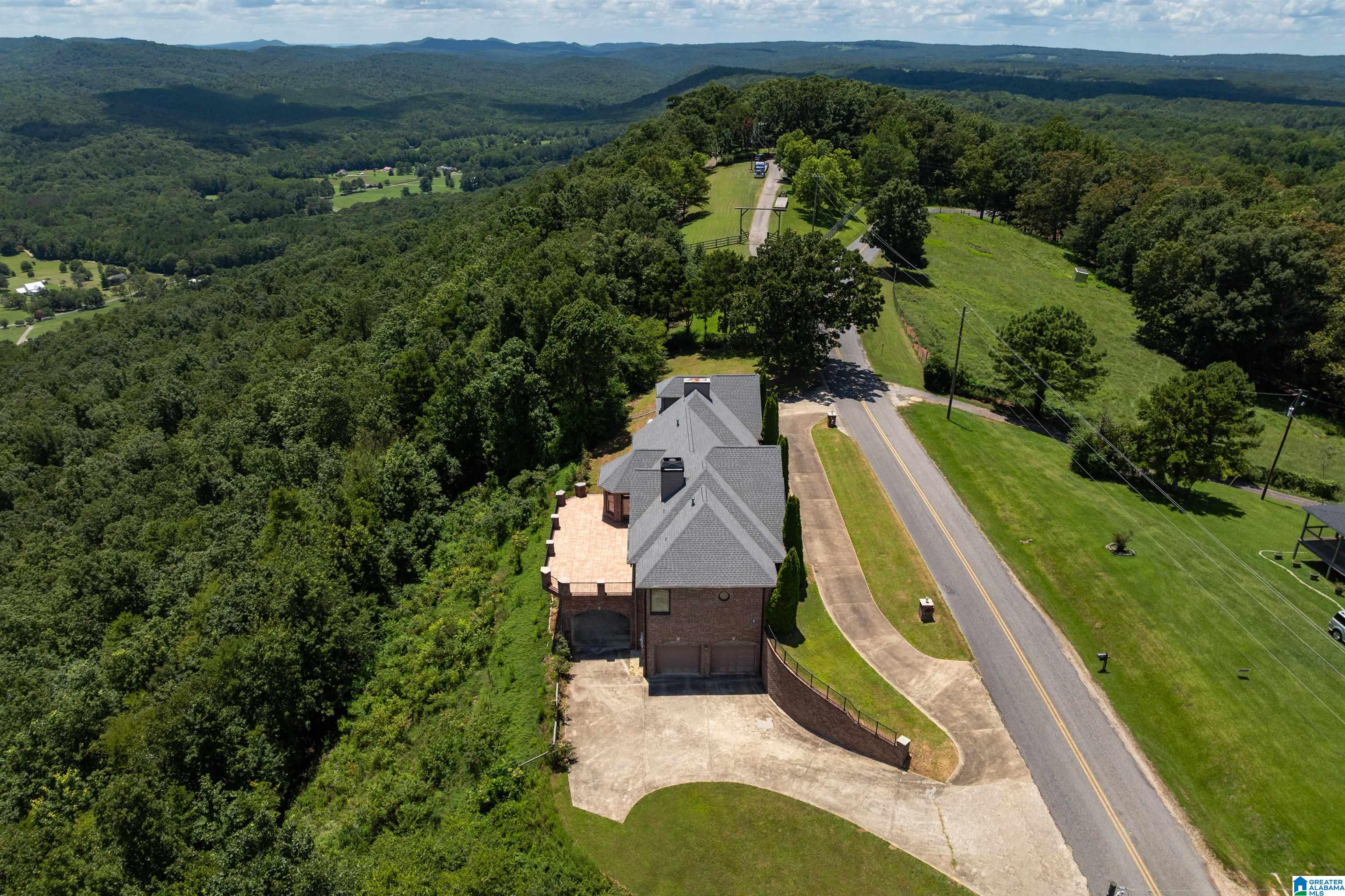 8378 Pine Mountain Road Springville, AL 35146 - Photo 49 of 59