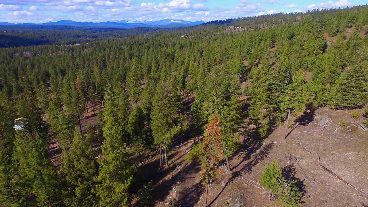 0 East Matthew Road Chattaroy, WA 99003 - Photo 12 of 13