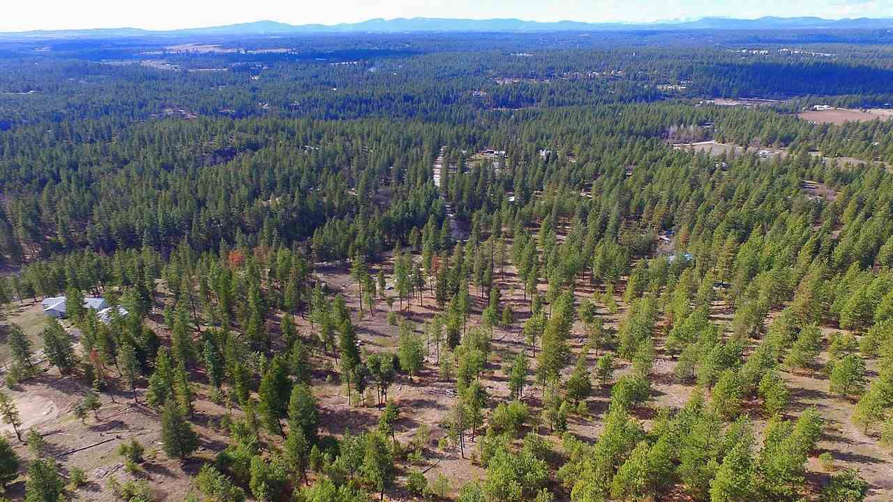 0 East Matthew Road Chattaroy, WA 99003 - Photo 10 of 13