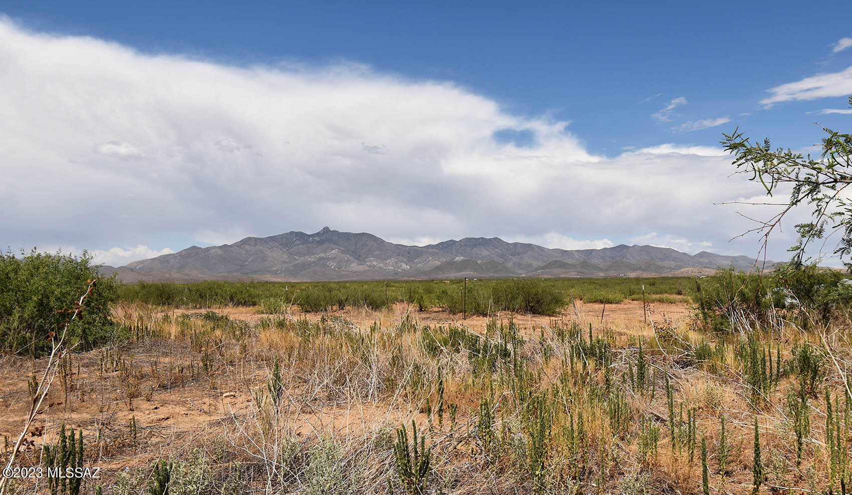 East Philipps Road Willcox, AZ 85643 - Photo 1 of 14