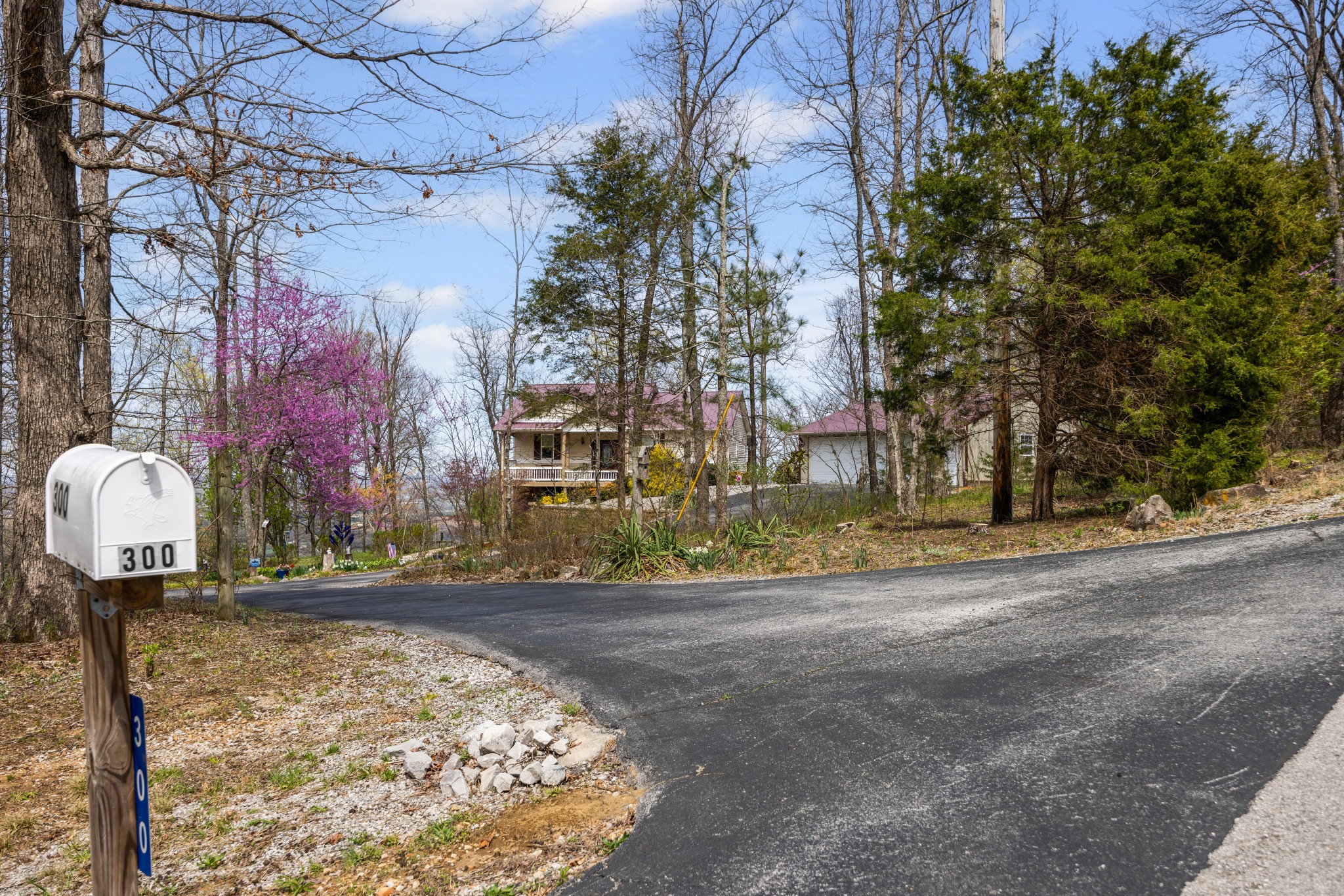 300 Iron Gap Road Belvidere, TN 37306 - Photo 4 of 84