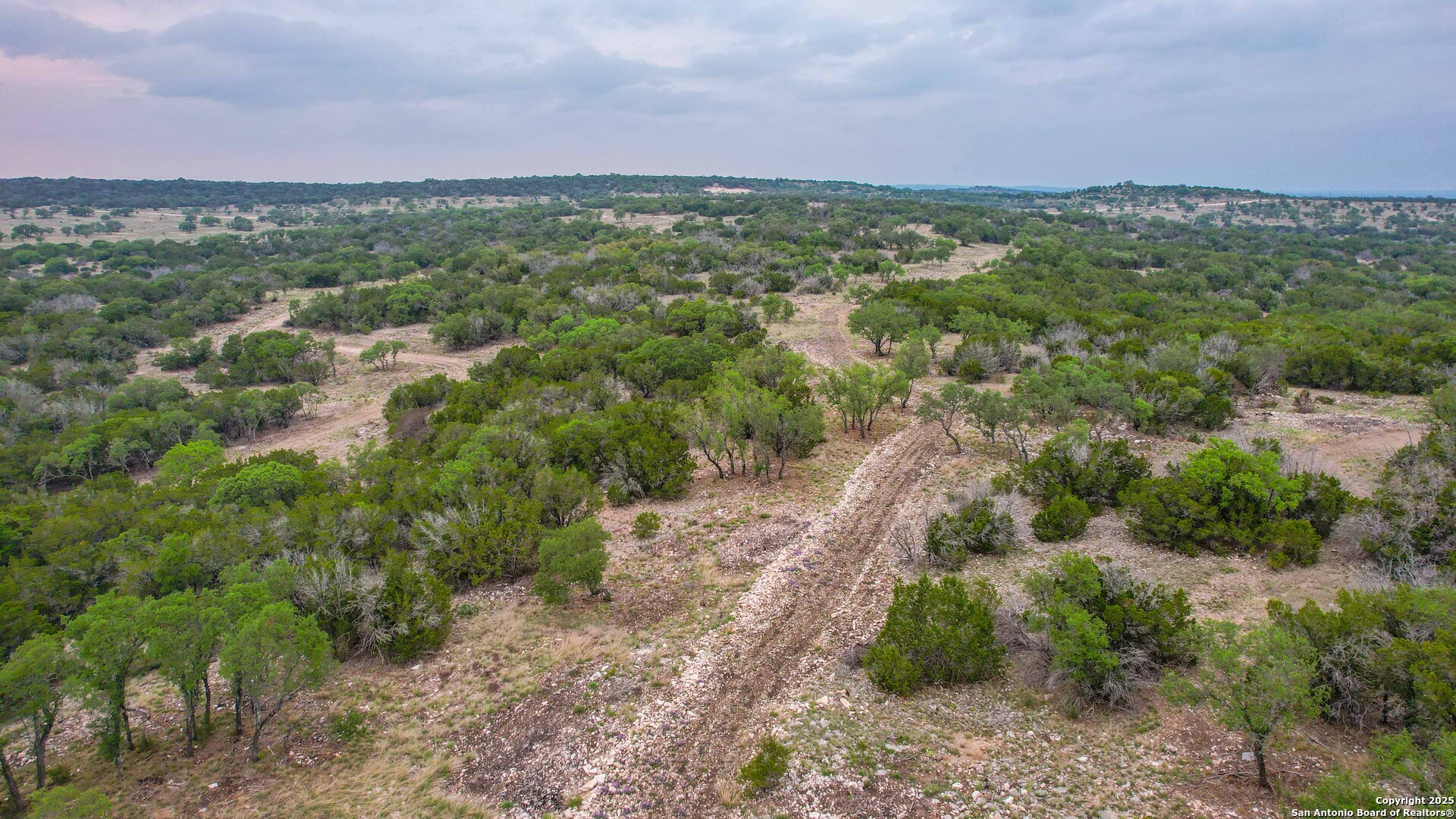 0 Cr 140 Junction Junction, TX 76849 - Photo 13 of 21 a view of a city with lush green forest