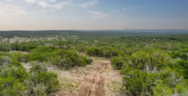 a view of a city with lush green forest
