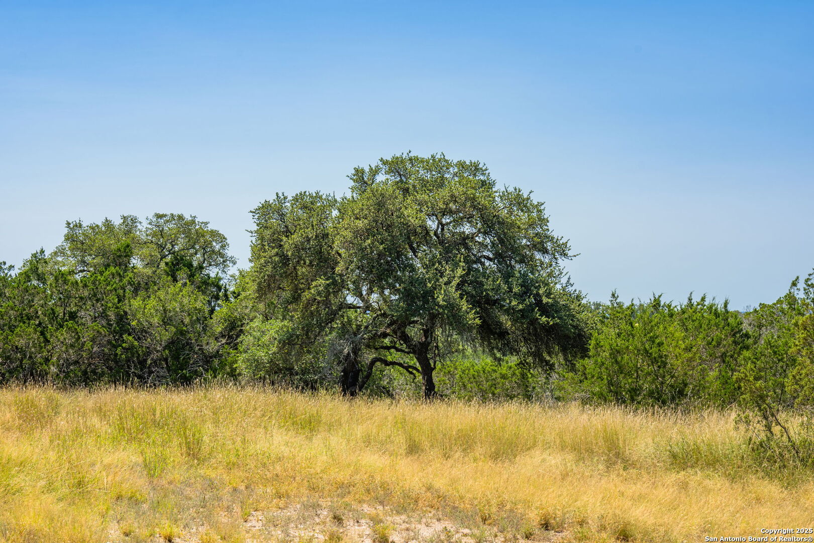 0 Cr 140 Junction Junction, TX 76849 - Photo 3 of 21 a view of lake view