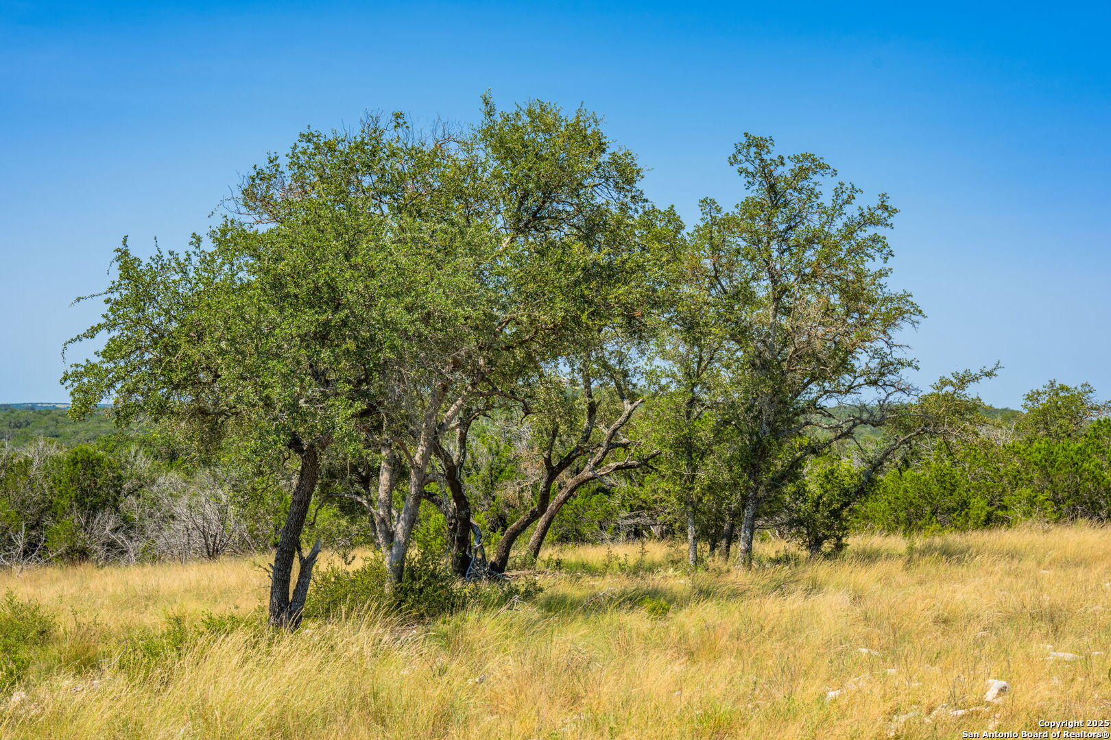 0 Cr 140 Junction Junction, TX 76849 - Photo 6 of 21 a view of a yard