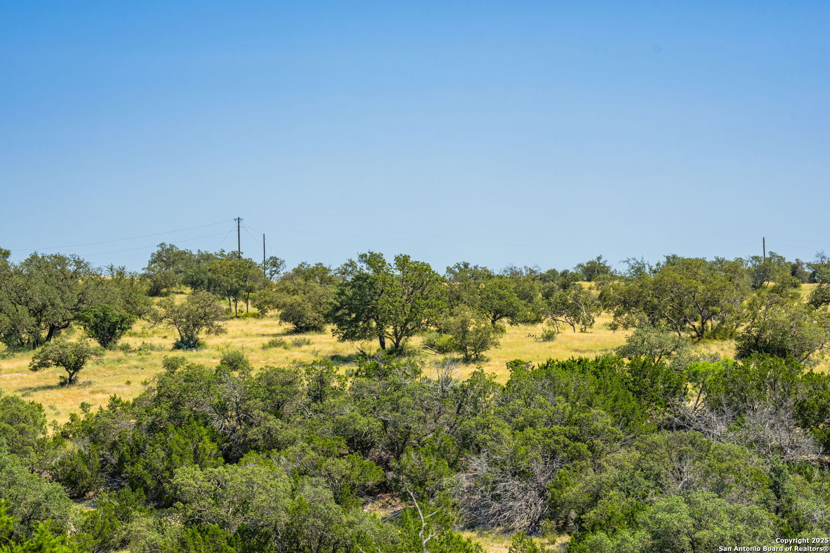 0 Cr 140 Junction Junction, TX 76849 - Photo 10 of 21 a view of a bunch of trees in a field