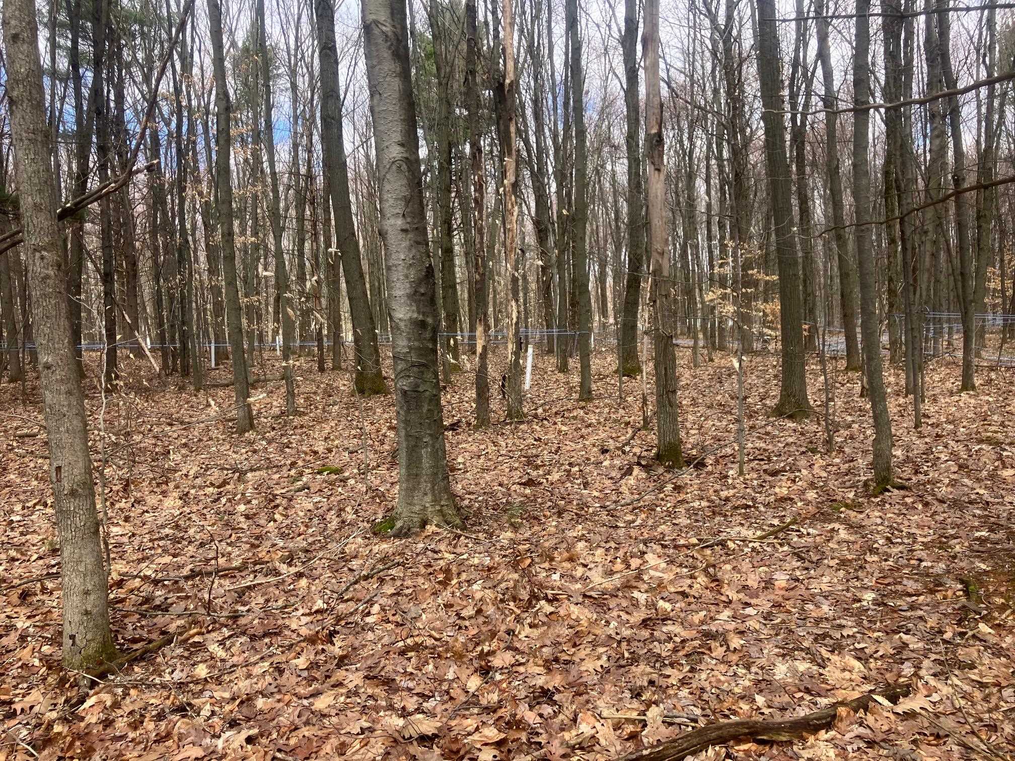 74 Jedware Circle, Unit LOT 102 Swanton, VT 05488 - Photo 4 of 15