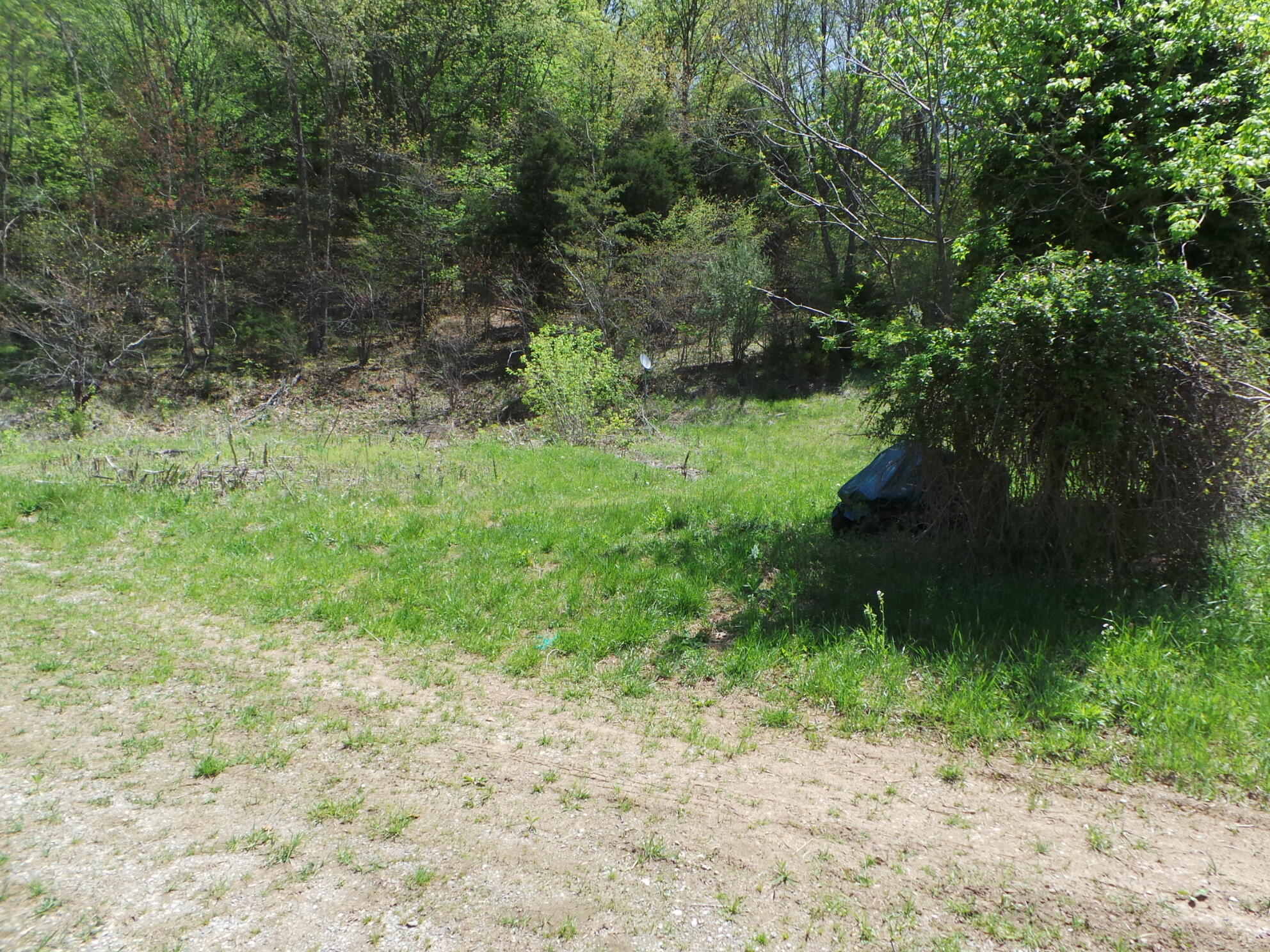 609 Island Road Kingsport, TN 37664 - Photo 7 of 36 7
