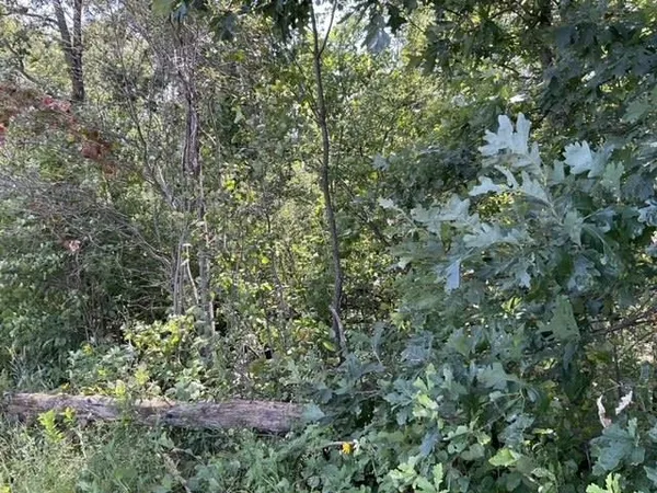 $169,900 | Lot 18 7th, Nekoosa, WI 54457