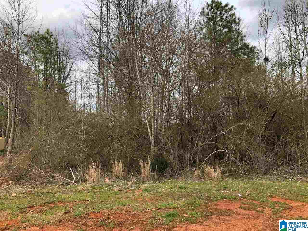 0 Almaroad Place, Unit 105 Jacksonville, AL 36265 - Photo 5 of 7