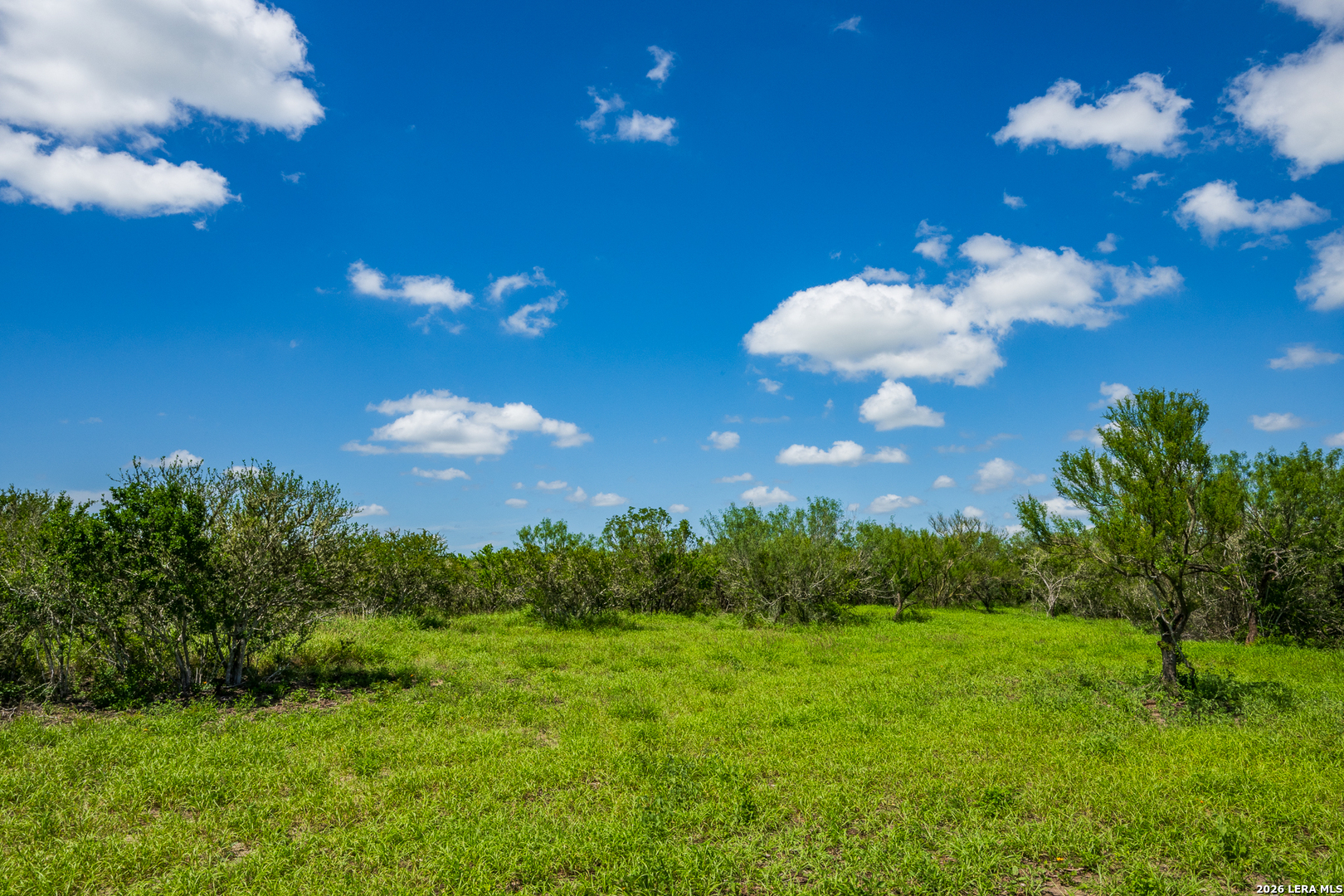 111 Los Lomas Ranch Road Freer, TX 78357 - Photo 6 of 31