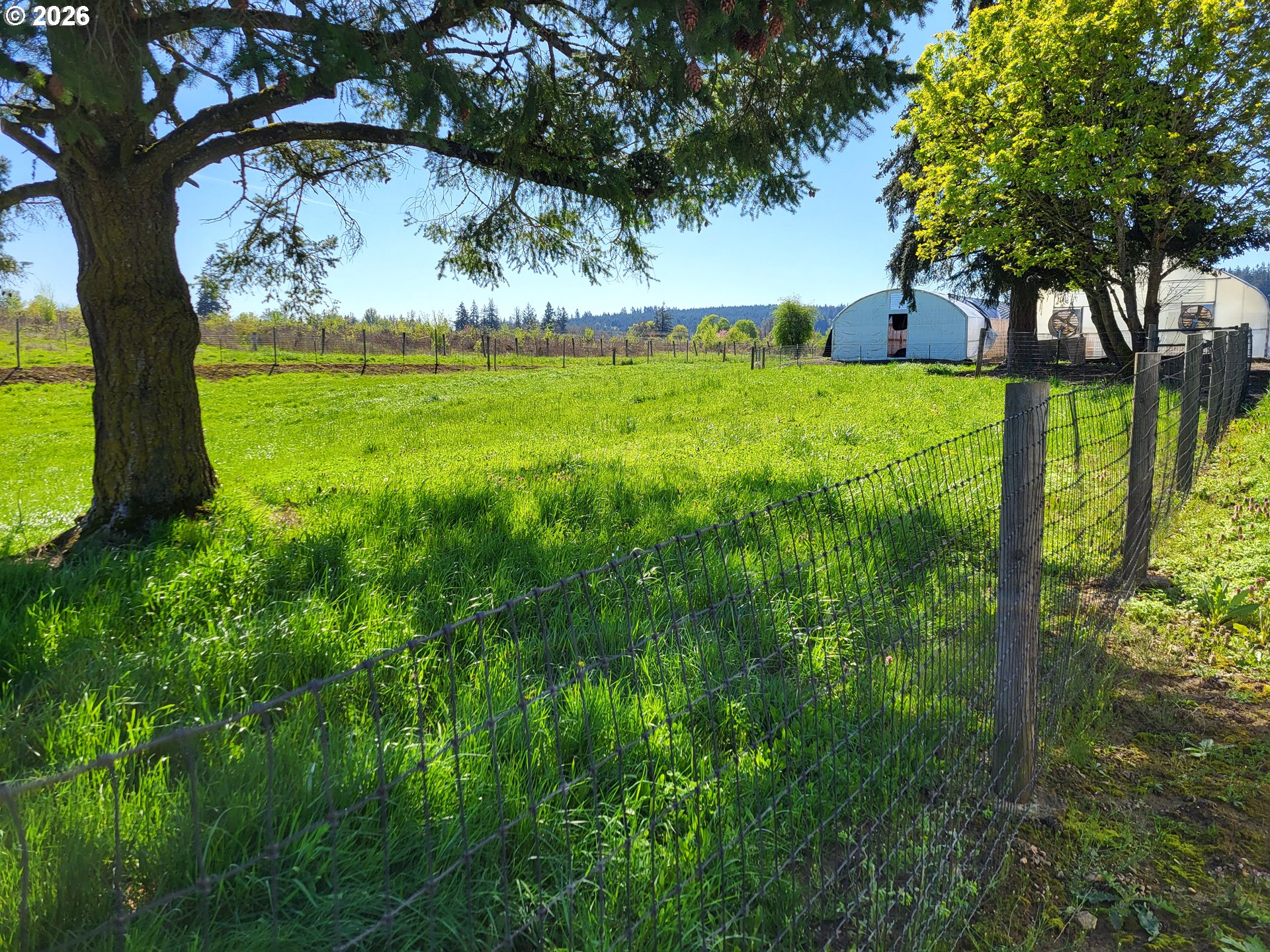 38591 Gilkey Road Scio, OR 97374 - Photo 25 of 28 Gallery Image 25