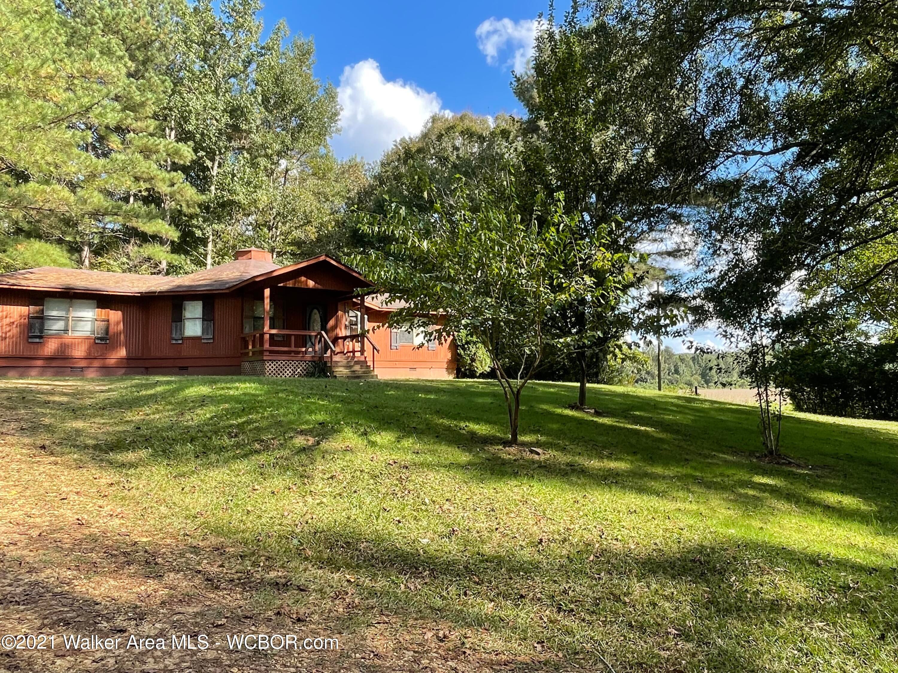 830 Bexar Gin Road Hamilton, AL 35570 - Photo 3 of 15 Gallery Image 3