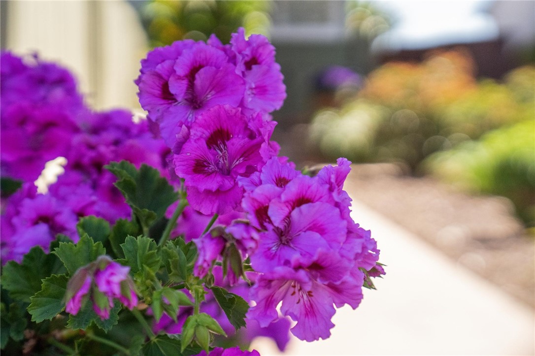 632 Waterview Alameda, CA 94501 - Photo 6 of 57