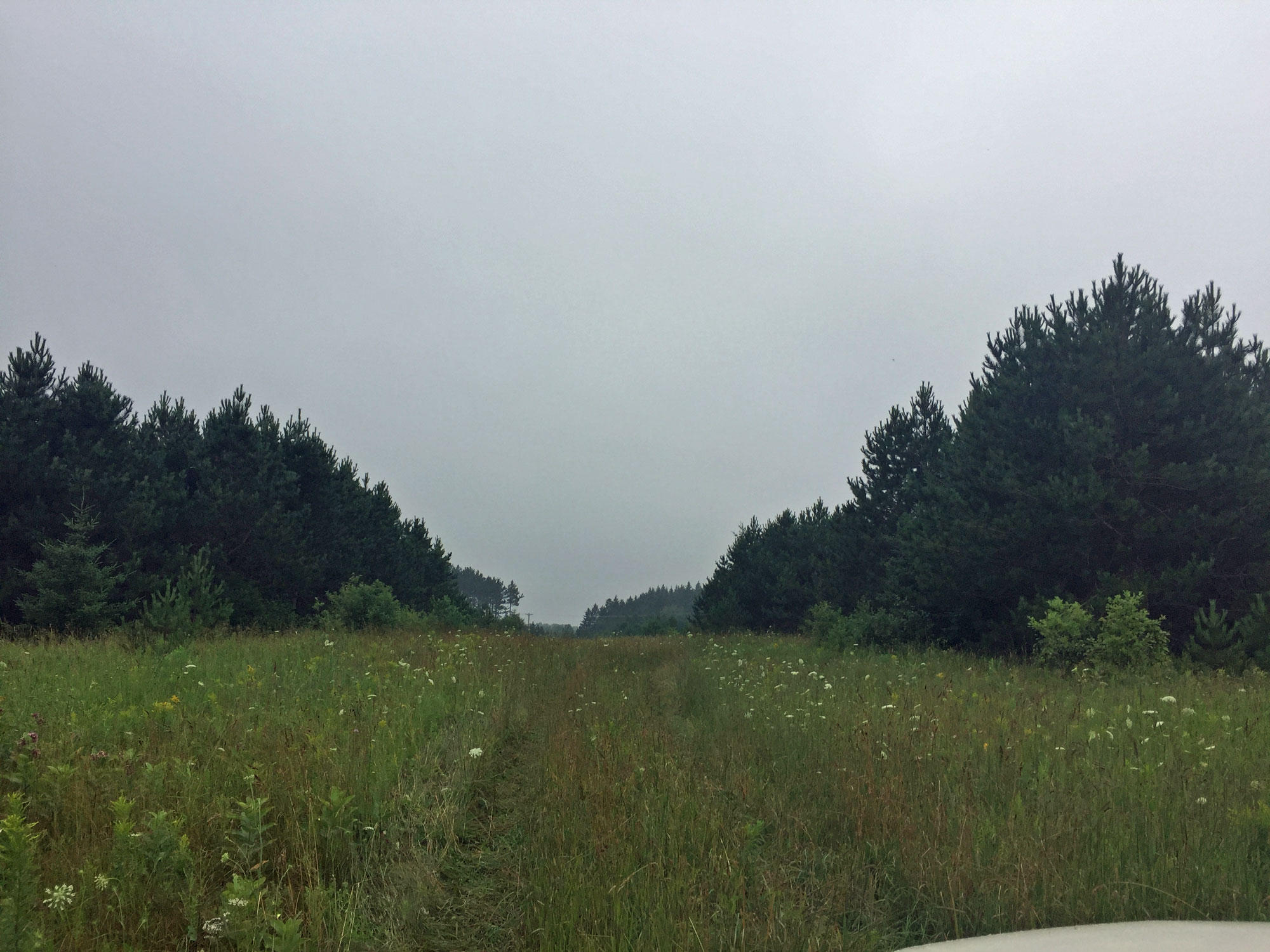 0 28 28 Mile Road Moran, MI 49760 - Photo 17 of 19 Gallery Image 17