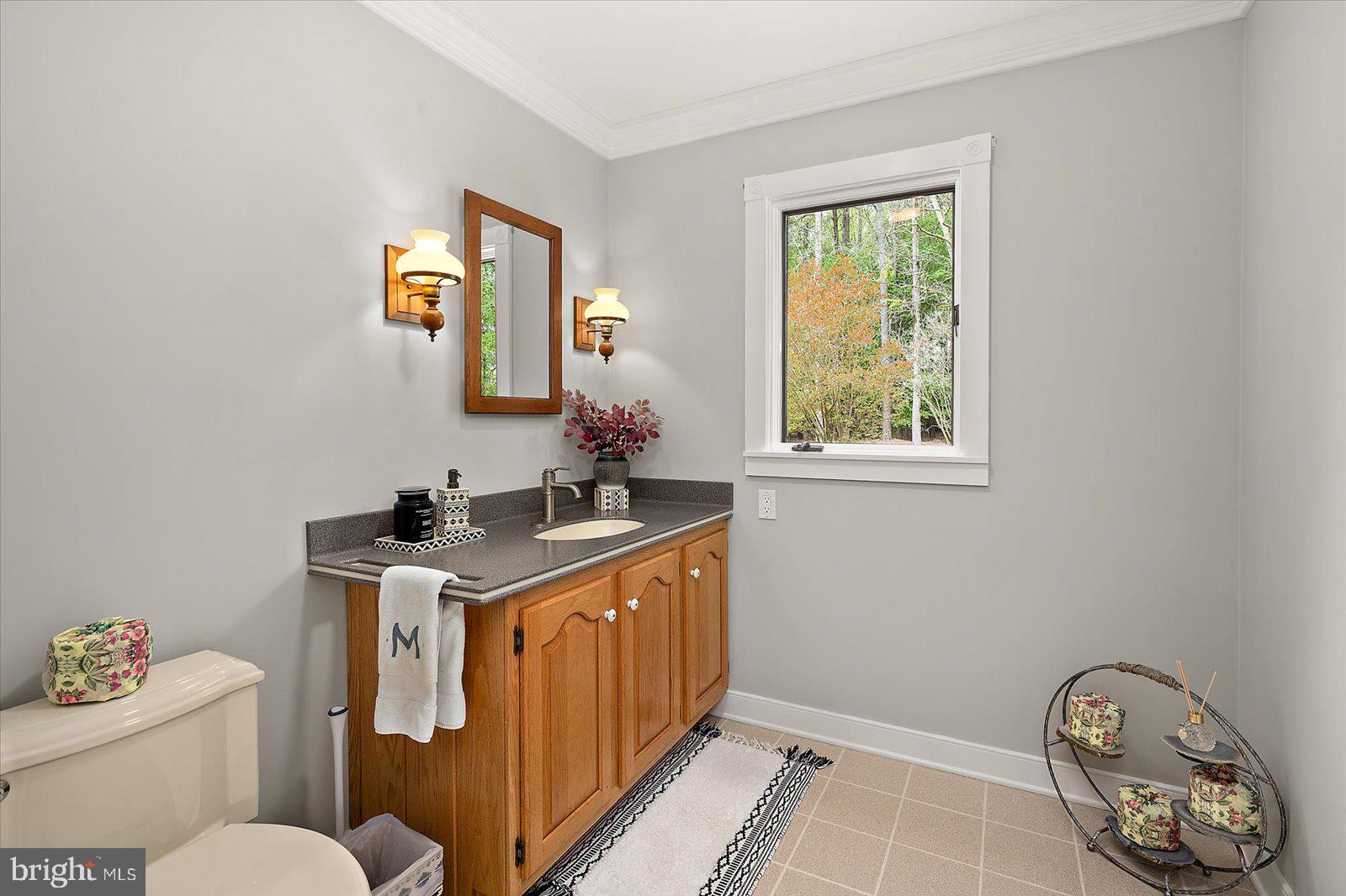 33915 Shockley Road Parsonsburg, MD 21849 - Photo 90 of 125 Serene bathroom with natural light.