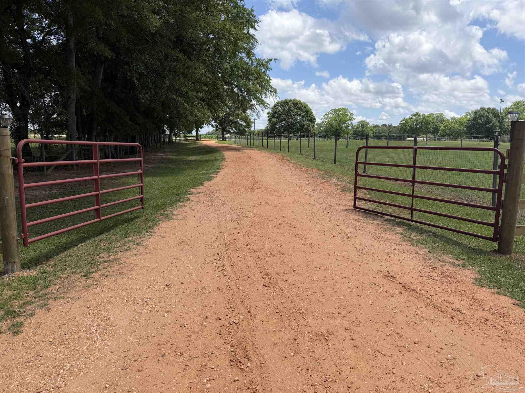 145 Tower Road Uriah, AL 36480 - Photo 44 of 72