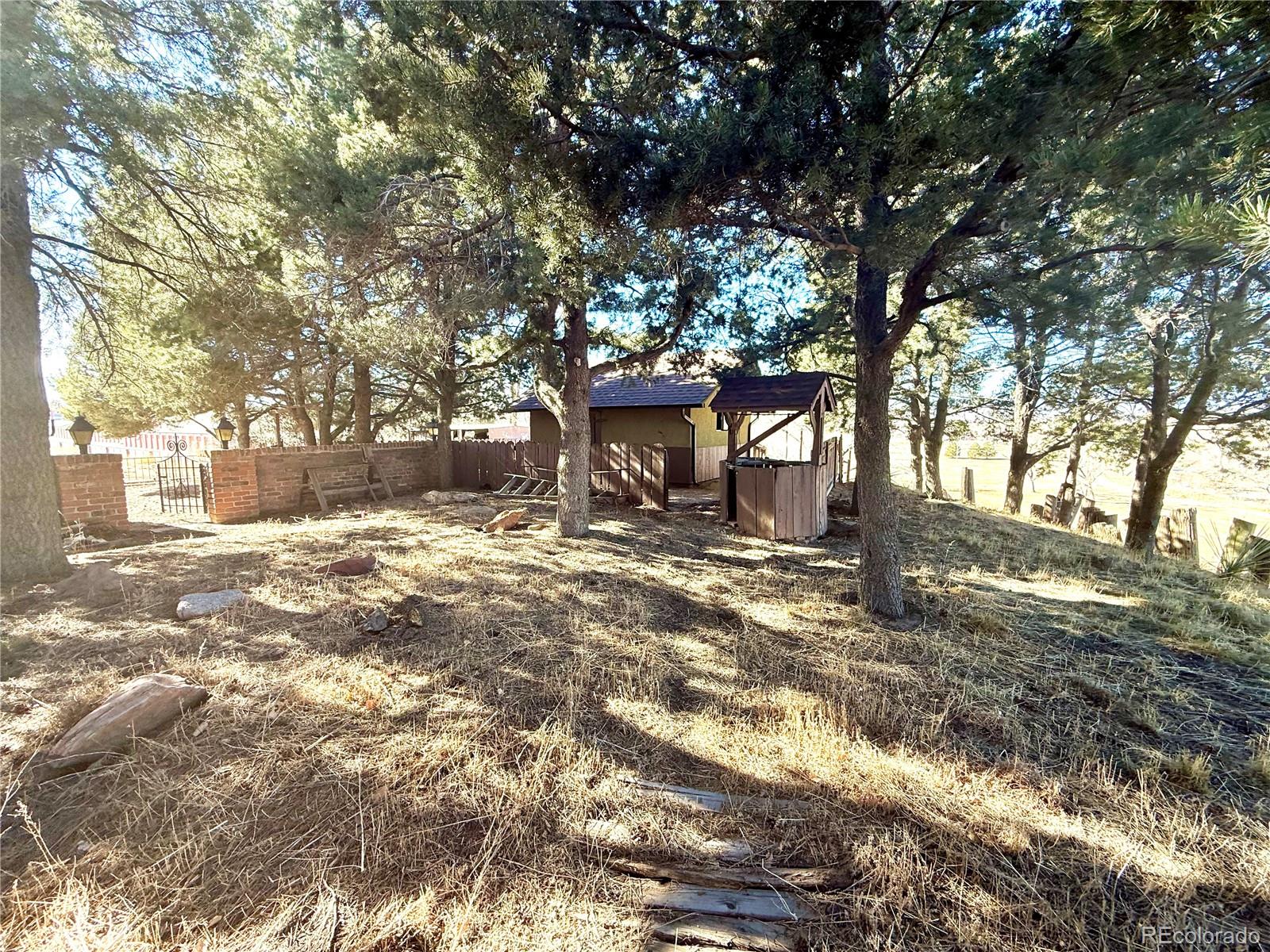 6105 West 49th Place Wheat Ridge, CO 80033 - Photo 20 of 40 a view of a yard with plants and trees