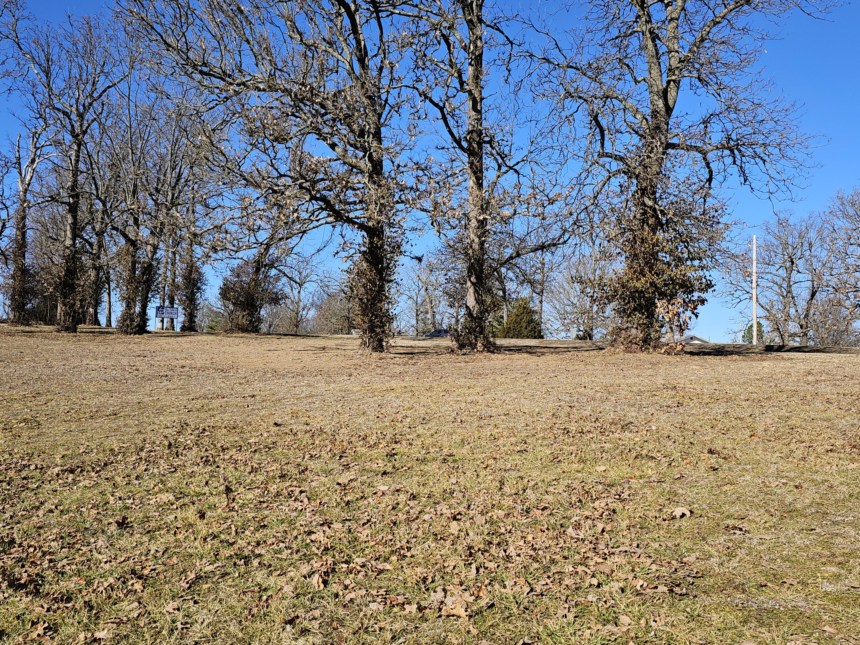 0 Redbud Place Monett, MO 65708 - Photo 10 of 12 20260206_103218