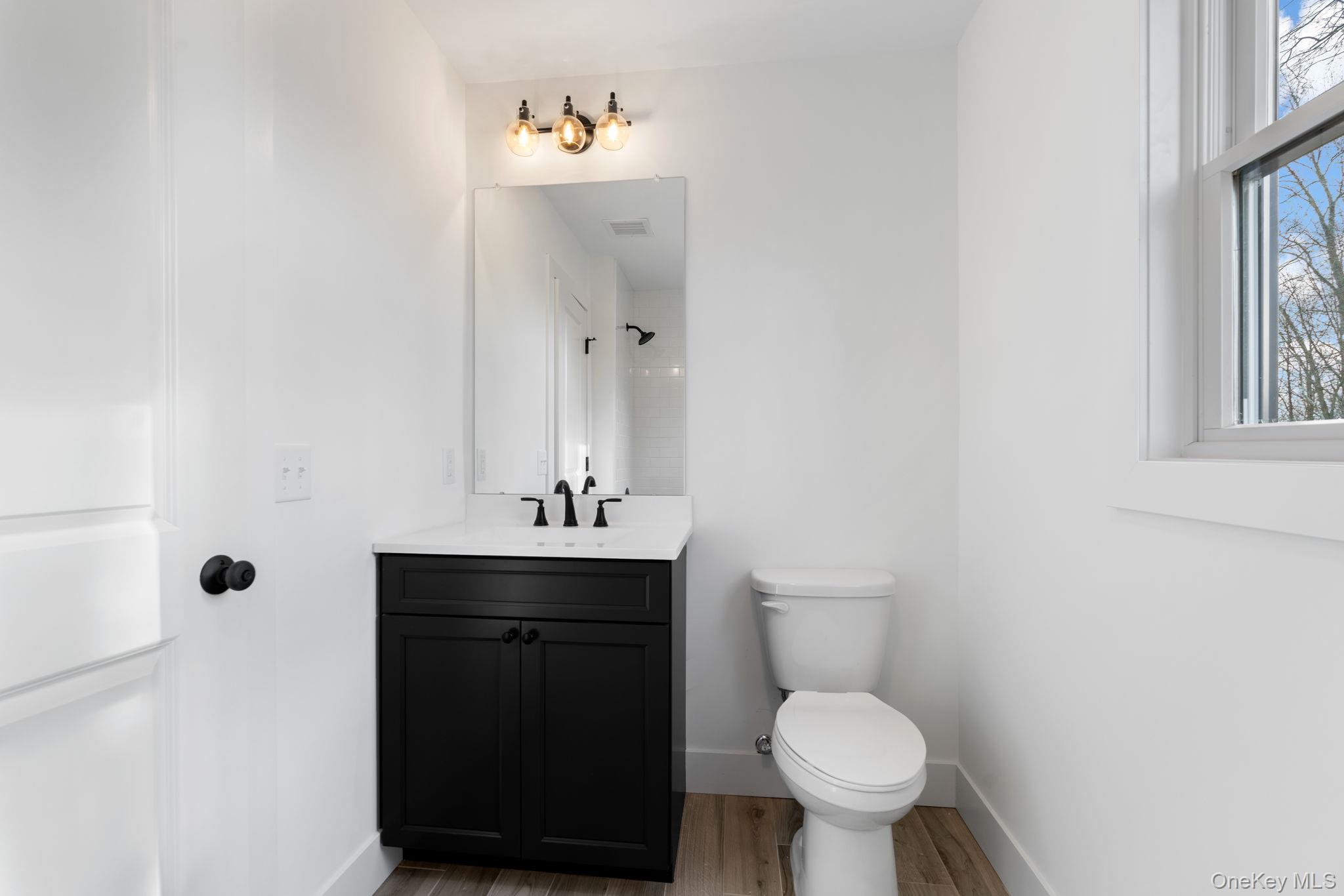 13 Harrier Ridge Drive Wallkill, NY 12589 - Photo 28 of 40 Full bathroom featuring vanity, a shower, and light wood-style floors