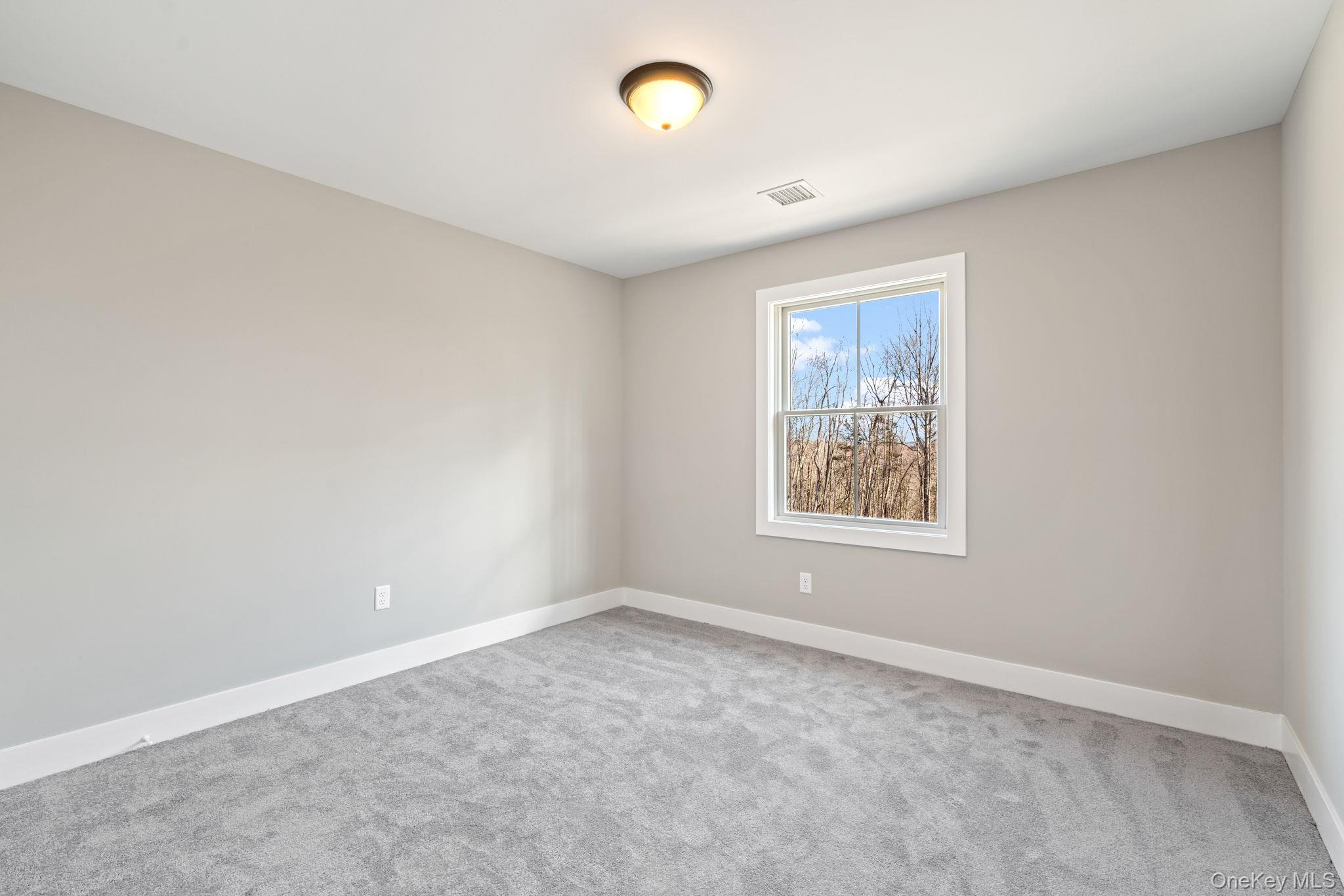 13 Harrier Ridge Drive Wallkill, NY 12589 - Photo 31 of 40 Unfurnished room with baseboards and carpet
