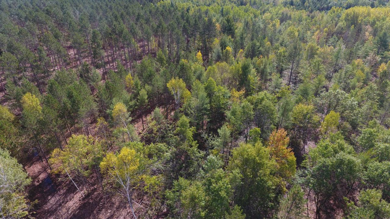 On On Pine Square Road, Unit 11 9 ACRES Tomahawk, WI 54487 - Photo 4 of 20 Gallery Image 4