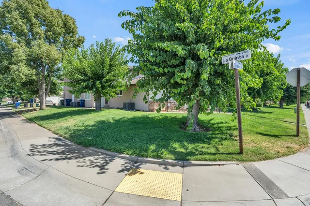 a view of a garden with a tree