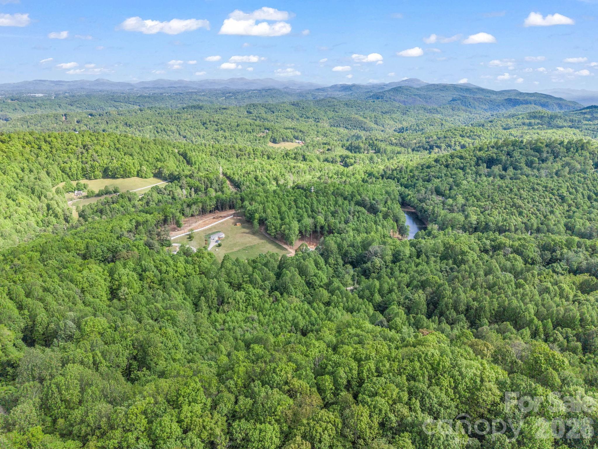 603 Pace Mountain Road Saluda, NC 28773 - Photo 43 of 44 Gallery Image 43