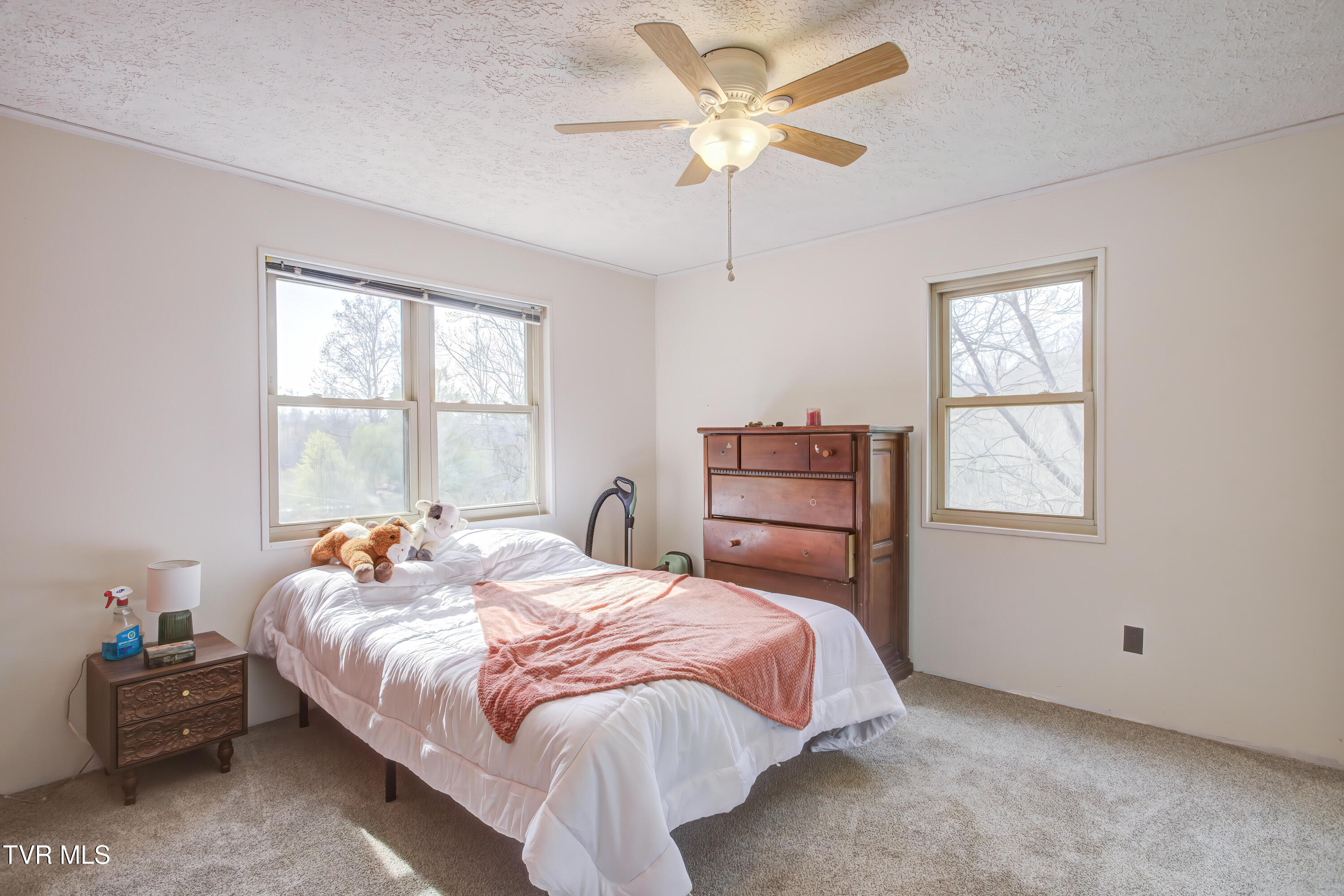 178 Conant Road Church Hill, TN 37642 - Photo 25 of 47 178 Conant (34)