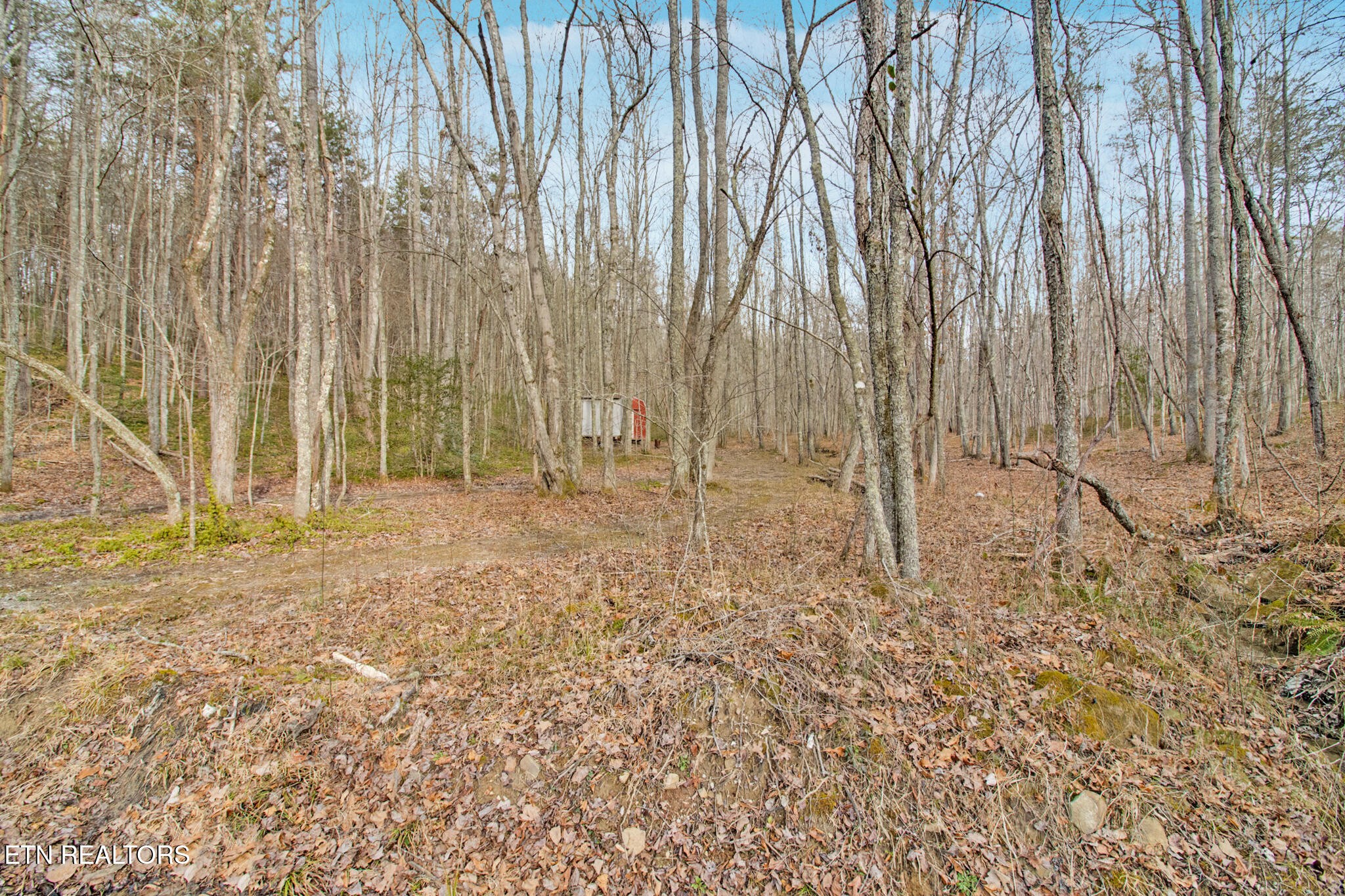 117 Hensley Road Deer Lodge, TN 37726 - Photo 10 of 23 Gallery Image 10