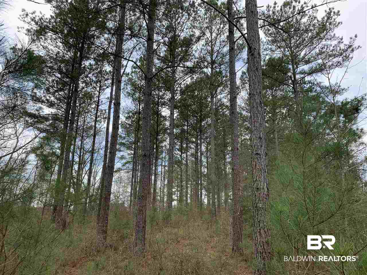 0 Sexton Brg Road Luverne, AL 36049 - Photo 13 of 50